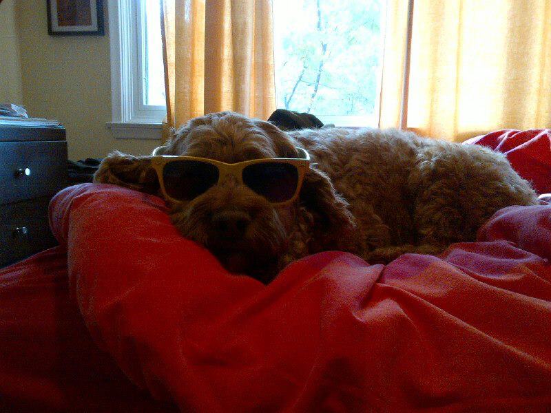 483078_366638633426456_1982314661_n