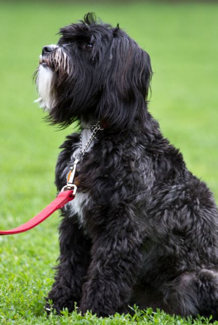 tumblr_n5vwymHhWI1tcs9lao1_500