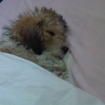 tumblr_n5vx32v4of1tcs9lao1_1280